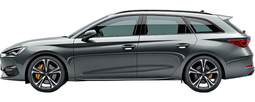 coche gris